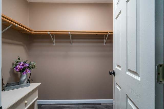 spacious closet with dark wood-style floors