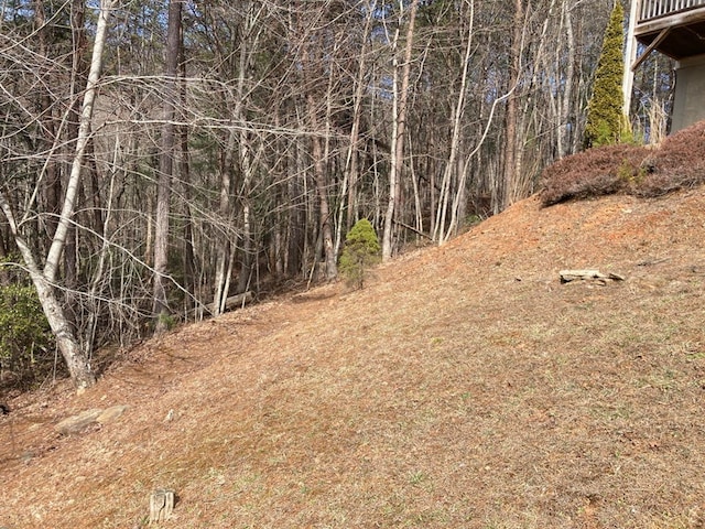 view of local wilderness