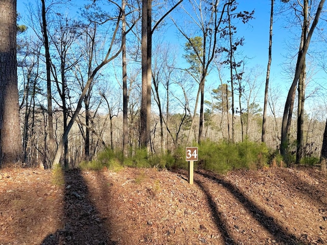 Listing photo 2 for LOT34 Hilton Dr, Ellijay GA 30540