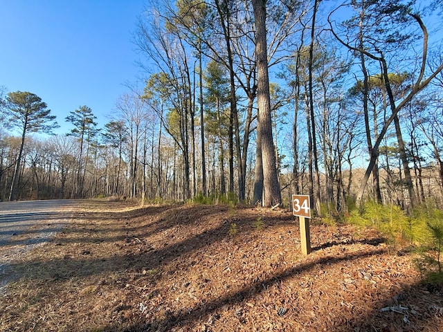 Listing photo 3 for LOT34 Hilton Dr, Ellijay GA 30540