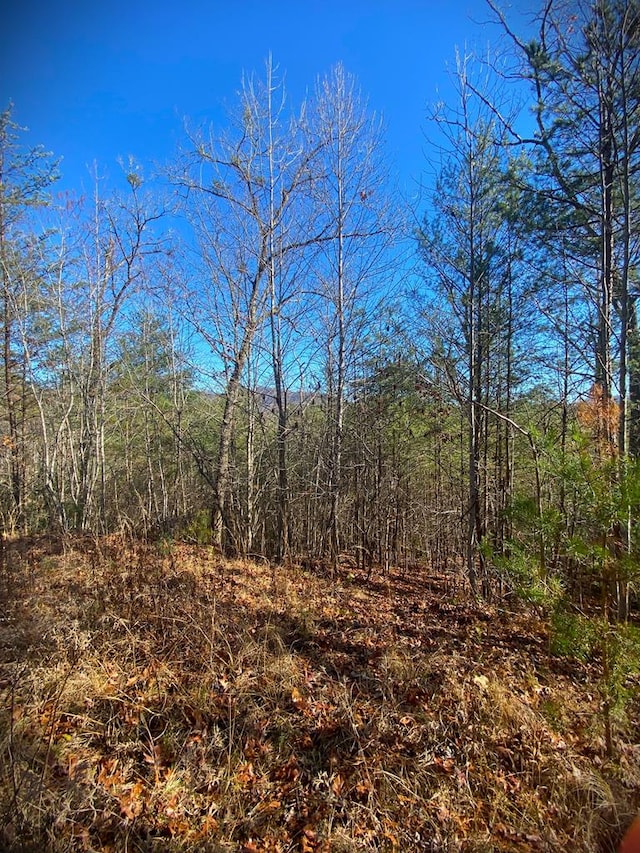 LOT12 Hidden Ln, Murphy NC, 28906 land for sale