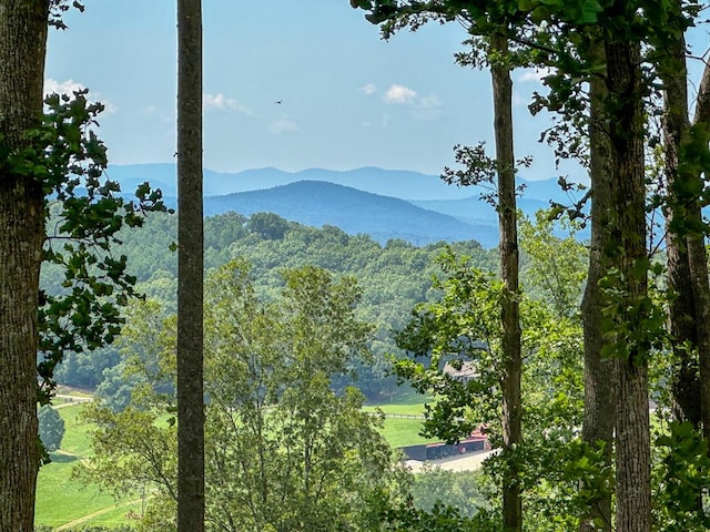 0 Winding Rdg, Blairsville GA, 30512 land for sale