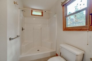 bathroom with a shower and toilet