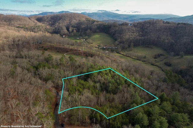 1 Mirandi Dr, Warne NC, 28909 land for sale