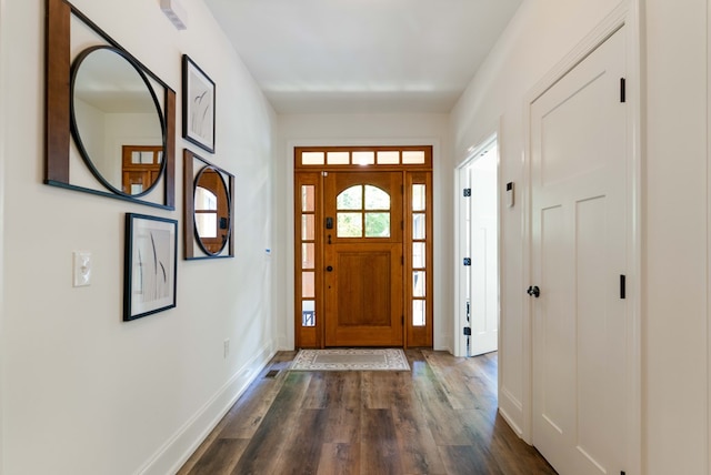 interior space featuring dark hardwood / wood-style flooring