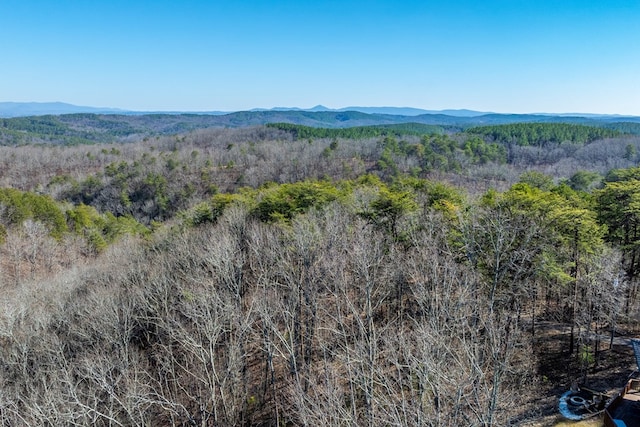 drone / aerial view featuring a mountain view