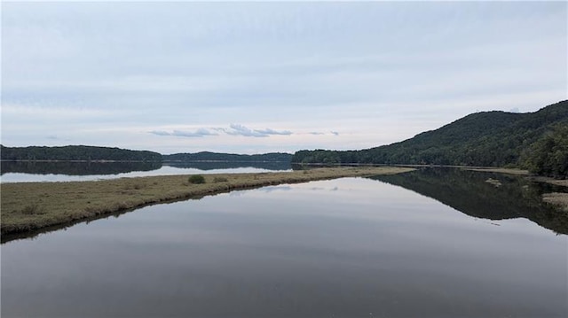 water view featuring a mountain view