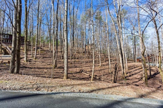 0 Sleepy Hollow Rd, Ellijay GA, 30536 land for sale