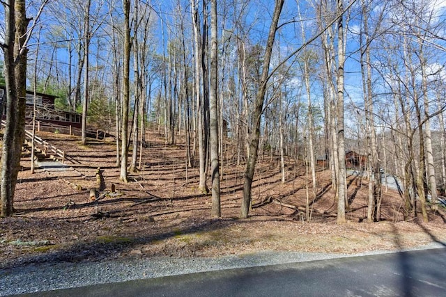 Listing photo 2 for 0 Sleepy Hollow Rd, Ellijay GA 30536