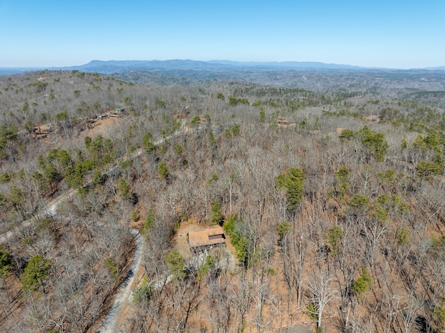 bird's eye view with a mountain view