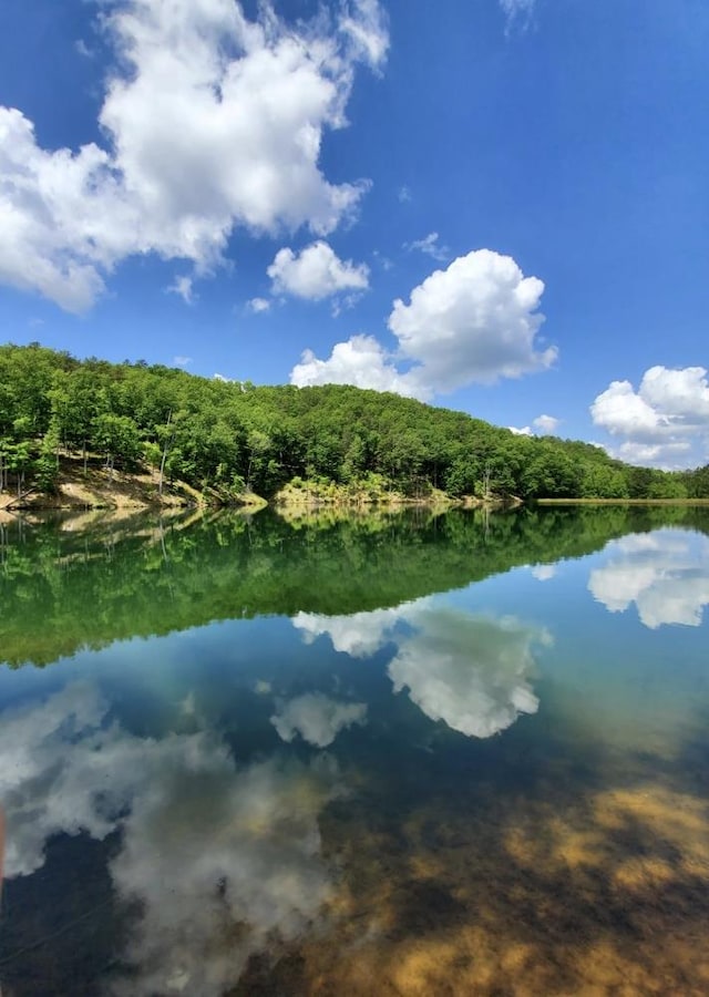 water view with a forest view