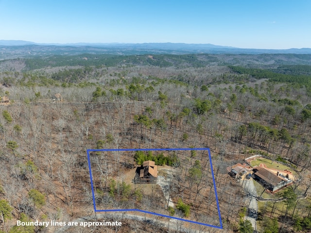 drone / aerial view featuring a forest view and a mountain view