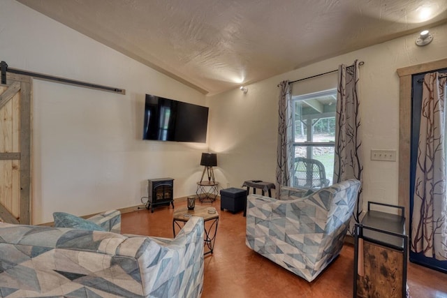 1529 Cedar View Ln, Hiawassee, GA 30546 - living area featuring lofted ceiling, a wood stove, and a barn door