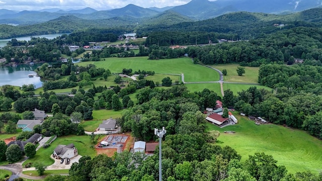 1529 Cedar View Ln, Hiawassee, GA 30546 - aerial view of a water and mountain view