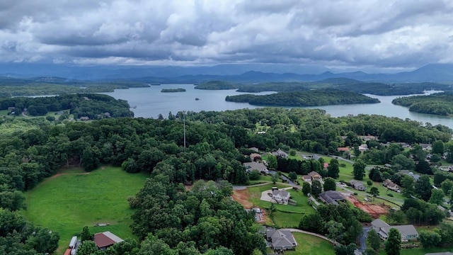1529 Cedar View Ln, Hiawassee, GA 30546 - drone / aerial view of a water and mountain view