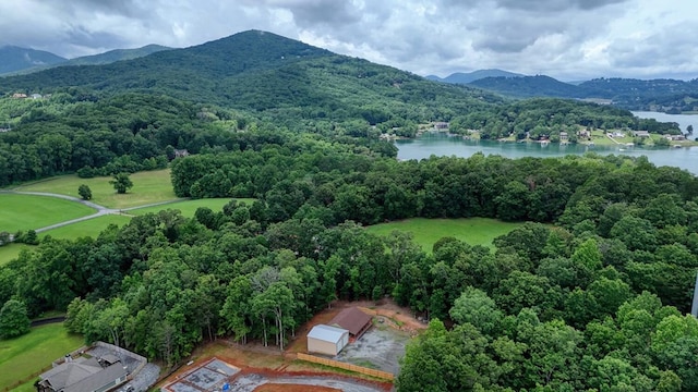 1529 Cedar View Ln, Hiawassee, GA 30546 - bird's eye view of a water and mountain view and a heavily wooded area
