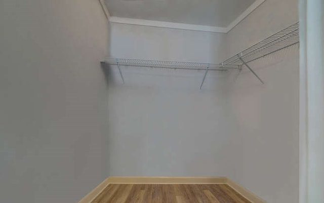 walk in closet with wood finished floors