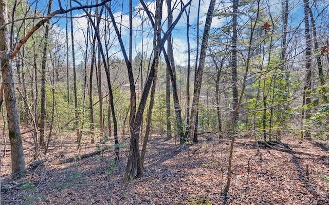 view of local wilderness featuring a forest view