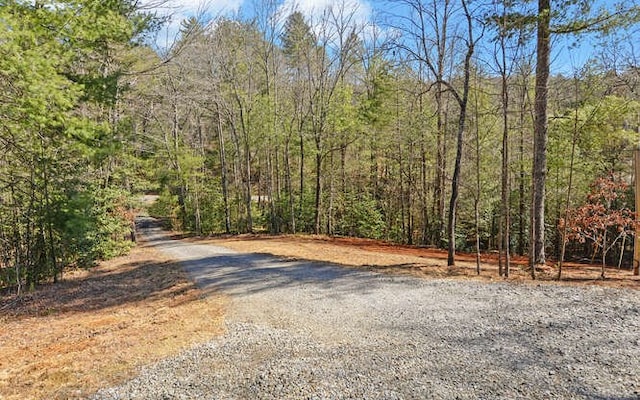 view of road with a view of trees