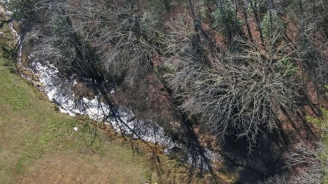 view of nature featuring a view of trees