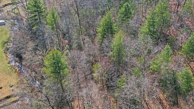 birds eye view of property with a forest view