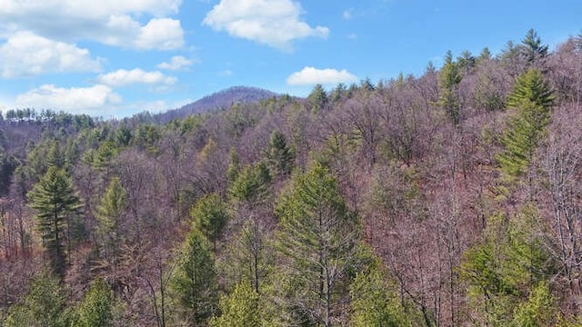 view of mountain feature with a view of trees