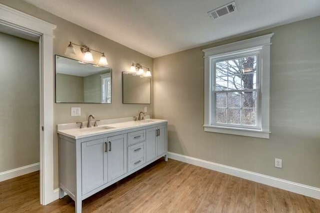 bathroom featuring vanity and wood-type flooring