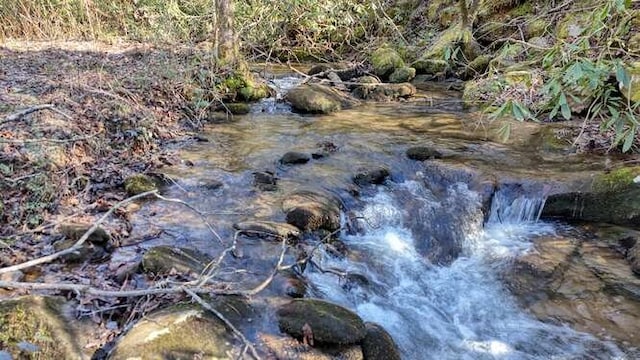 view of local wilderness