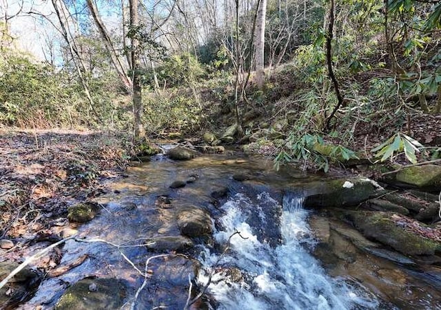 view of local wilderness