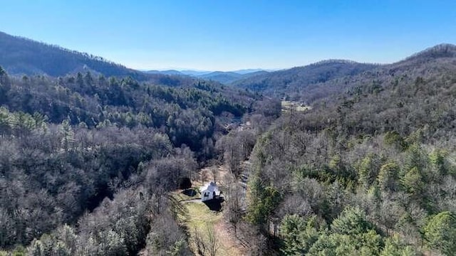 bird's eye view featuring a mountain view