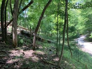 LT3070 Hackney Dr, Ellijay GA, 30540 land for sale