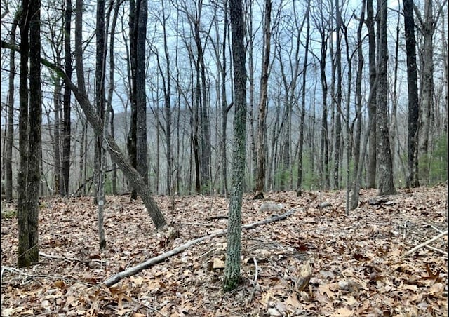 TRACT21 Old Parker Ter, Ellijay, GA 30540