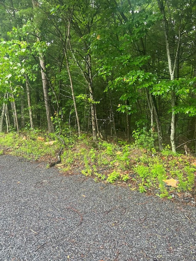 TRACT21 Old Parker Ter, Ellijay, GA 30540