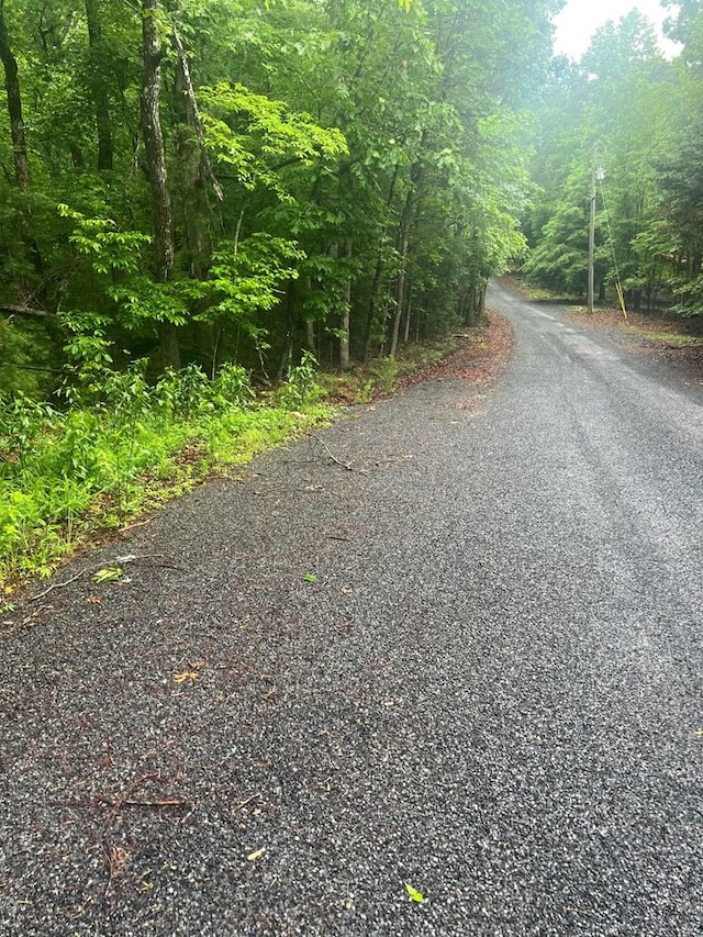 TRACT21 Old Parker Ter, Ellijay, GA 30540