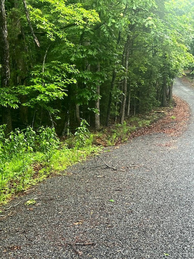 TRACT21 Old Parker Ter, Ellijay, GA 30540