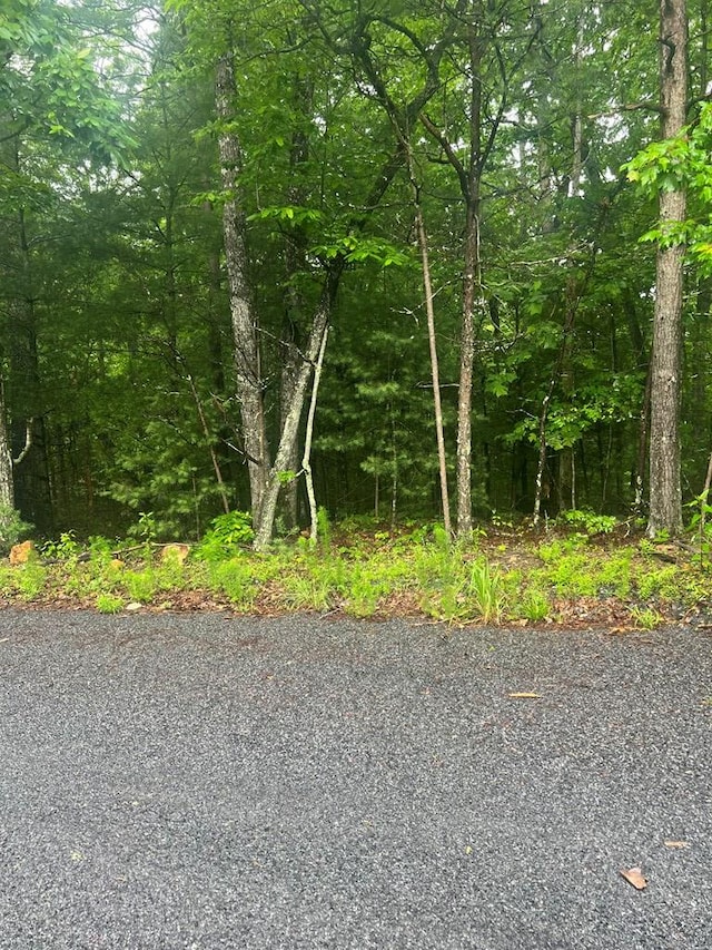 TRACT21 Old Parker Ter, Ellijay, GA 30540
