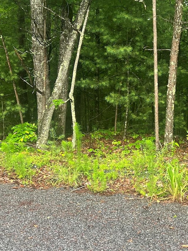 TRACT21 Old Parker Ter, Ellijay, GA 30540