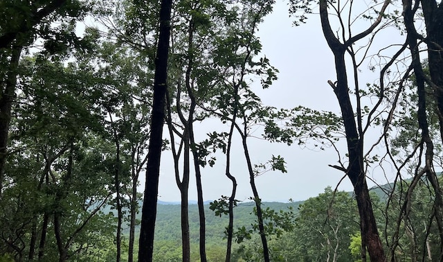 TRACT21 Old Parker Ter, Ellijay, GA 30540