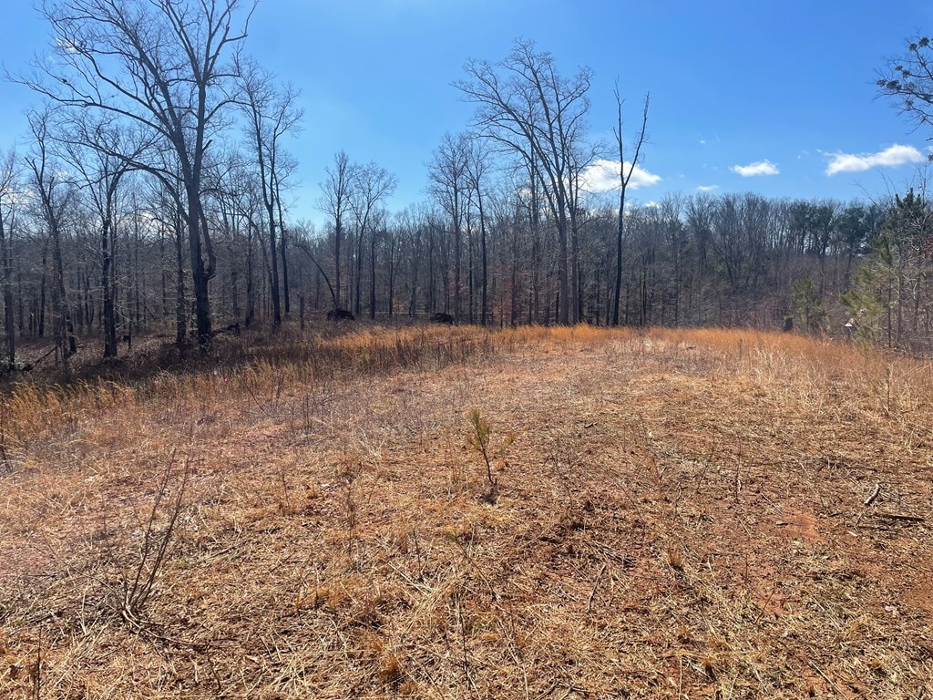 view of wooded area