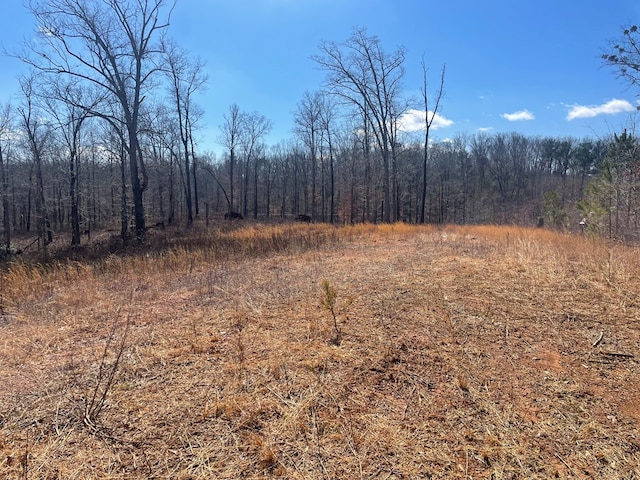 view of wooded area