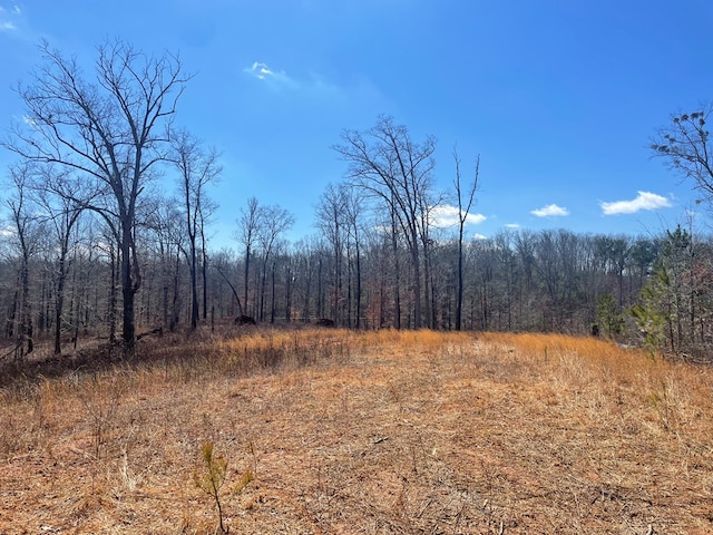 view of woods