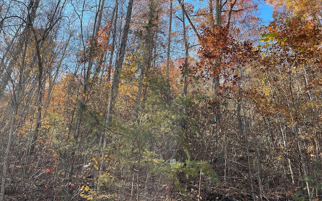 36C Indian Trl, Hayesville NC, 28904 land for sale