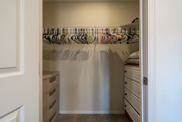 view of closet