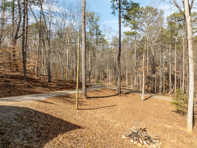 view of yard featuring a forest view