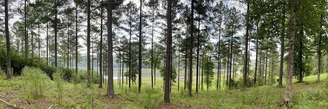 view of local wilderness