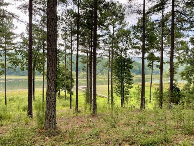 view of local wilderness featuring a water view