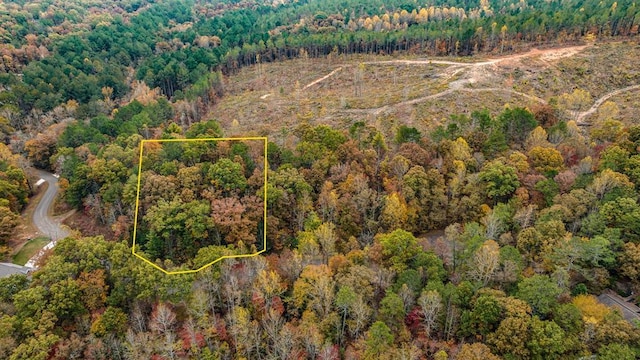 LOT49 Lower Creek Trl, Ellijay GA, 30540 land for sale