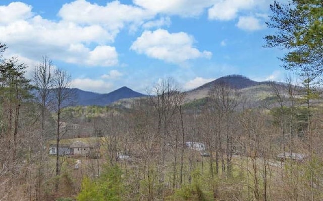600 Mill Ridge Rd, Hiawassee, GA 30546 - mountain view