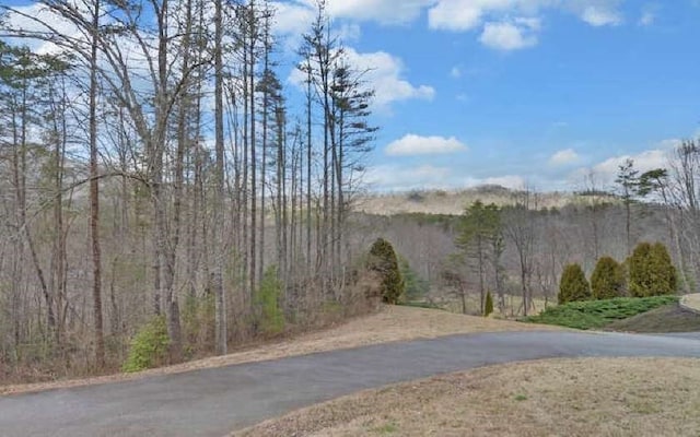 600 Mill Ridge Rd, Hiawassee, GA 30546 - view of road with a wooded view