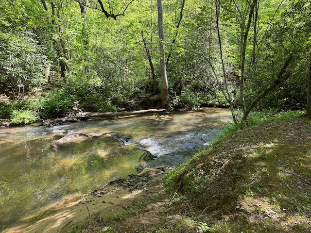 LT23, 24 Arbor Creek Trl, Mineral Bluff, GA 30559